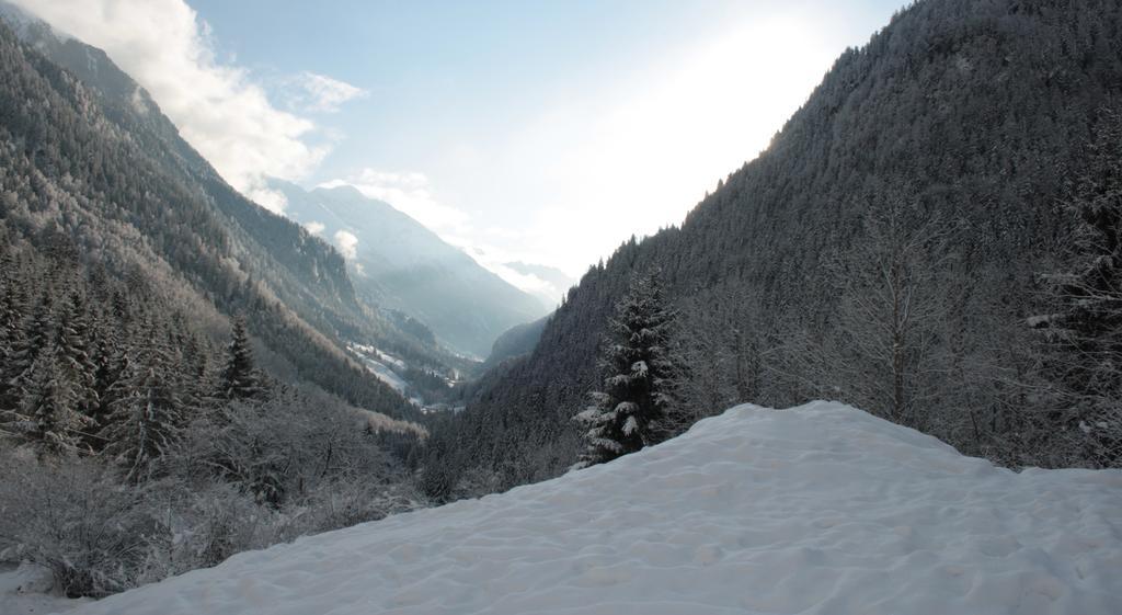Apartments Haus Schoen - Preise Inclusive Pitztal Sommer Card Jerzens Exterior foto