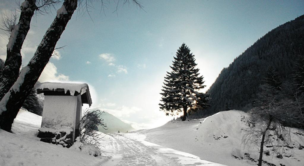 Apartments Haus Schoen - Preise Inclusive Pitztal Sommer Card Jerzens Exterior foto